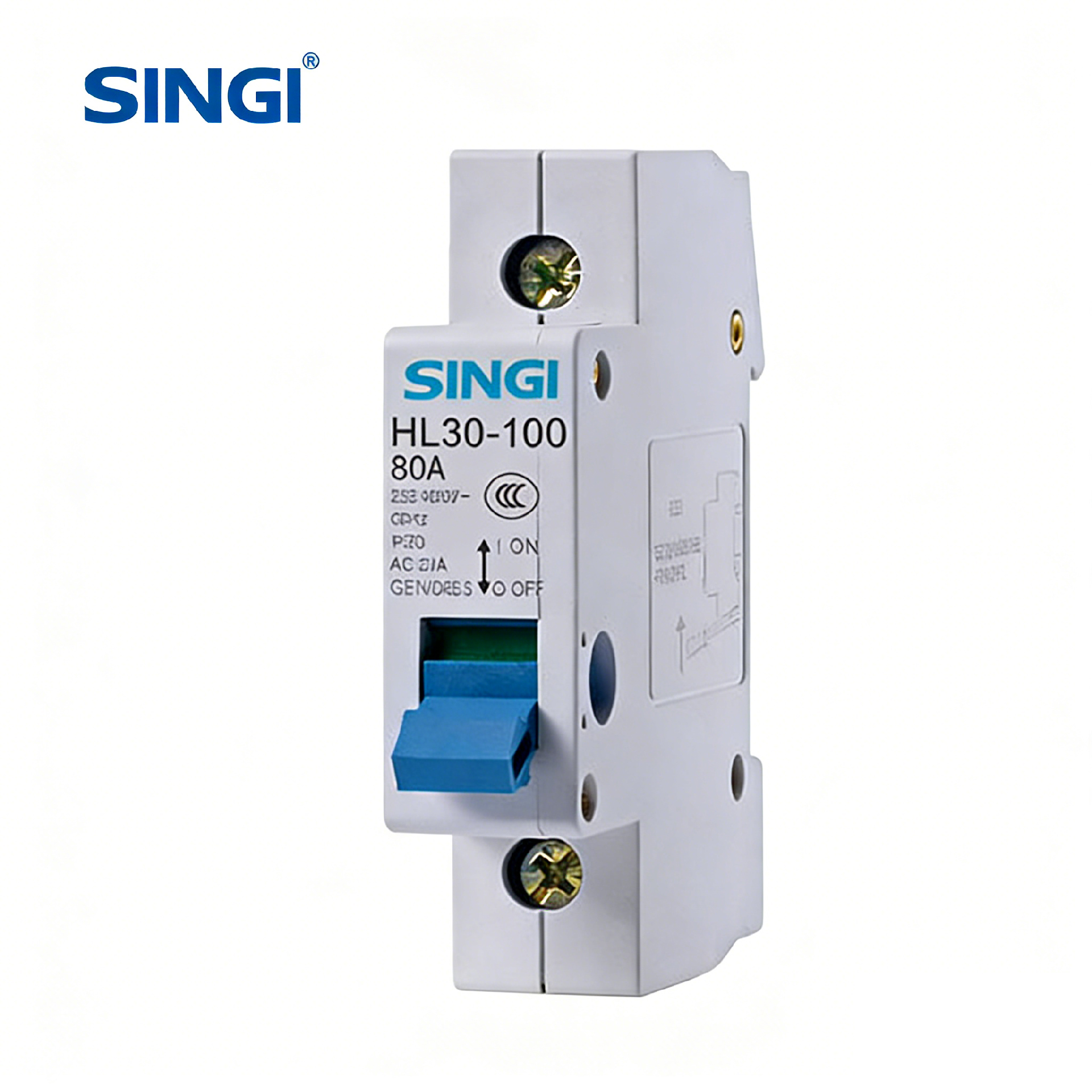 Interruptor seccionador HL30-100