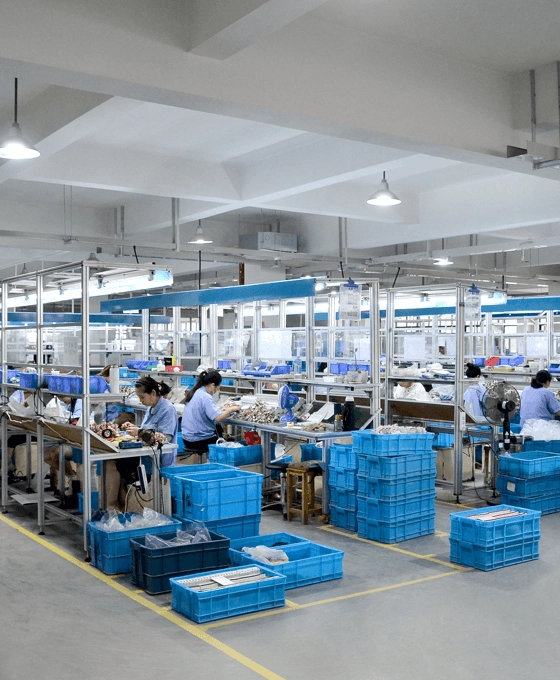 SINGI company 1